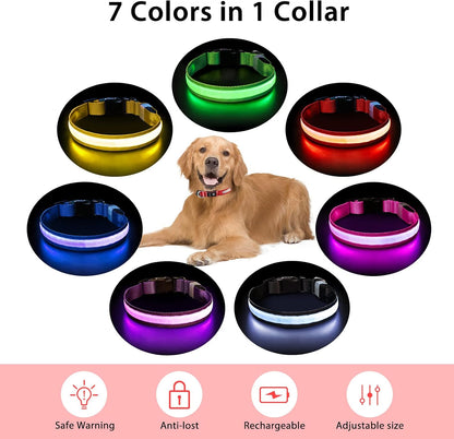 PcEoTllar Light up Dog Collar, Safe for Night Walking, Adjustable, Green, M