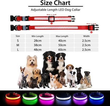 PcEoTllar Light up Dog Collar, Safe for Night Walking, Adjustable, Green, M