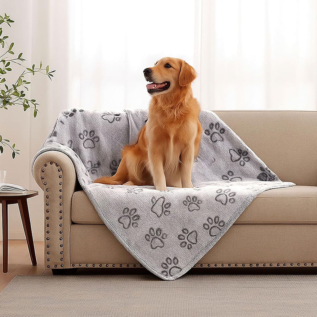 41" x 30" Dog Blankets for Medium Dogs, Cat, Premium Soft Dog Blankets