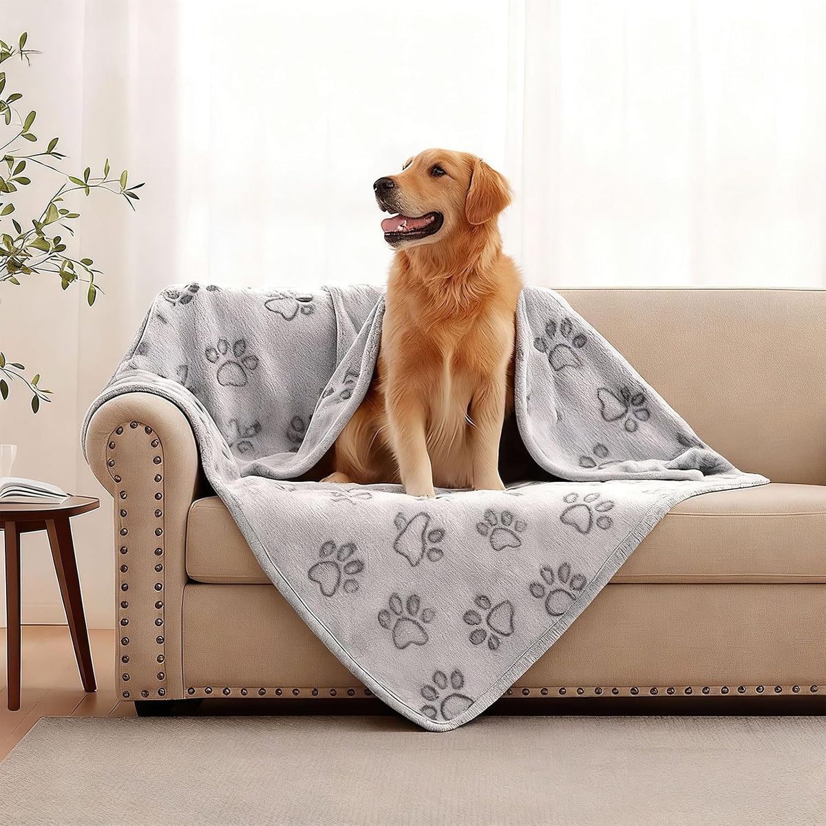 41" x 30" Dog Blankets for Medium Dogs, Cat, Premium Soft Dog Blankets