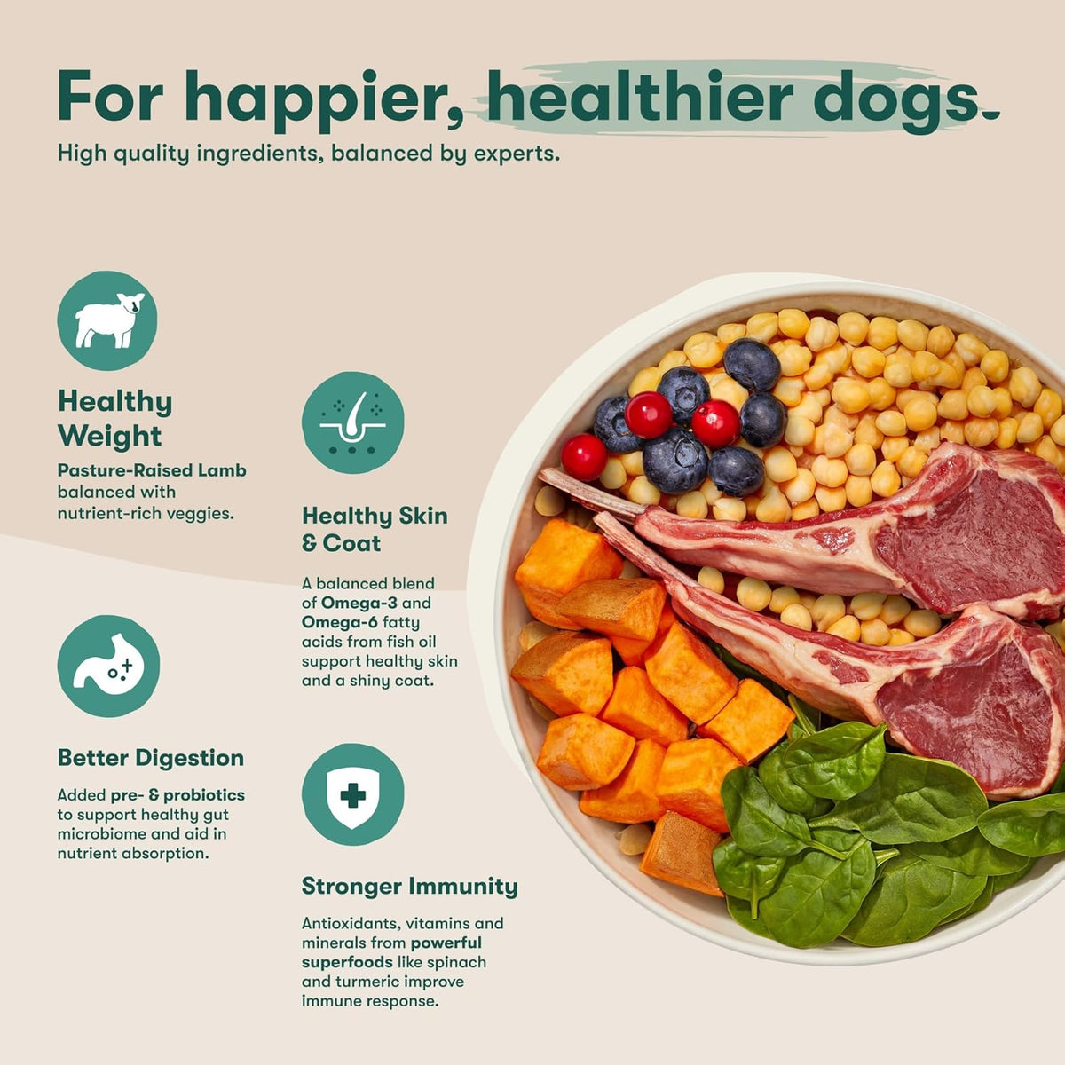 Grain Free Dry Dog Food - Real Lamb, Sweet Potato & Carrot, 4lb