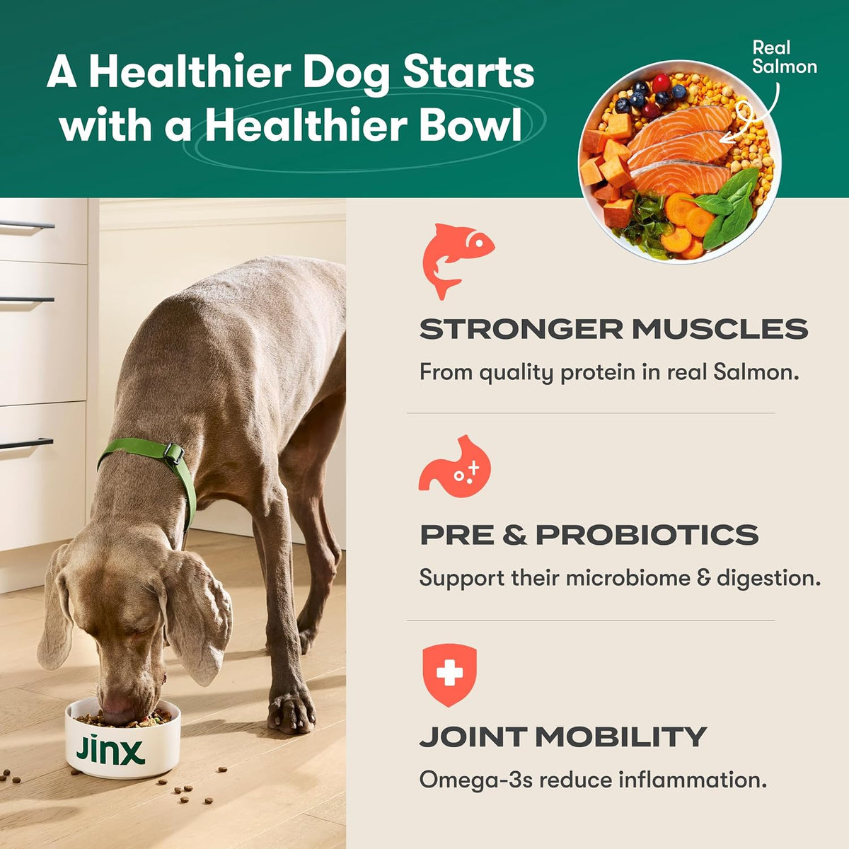 Grain Free Dry Dog Food - Real Lamb, Sweet Potato & Carrot, 4lb