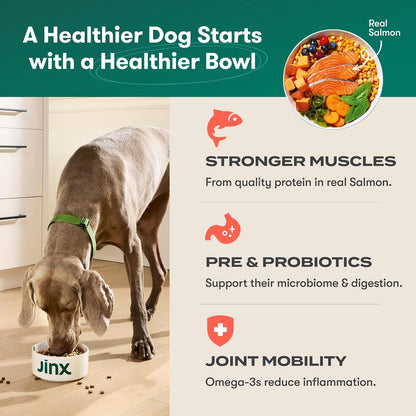 Grain Free Dry Dog Food - Real Lamb, Sweet Potato & Carrot, 4lb