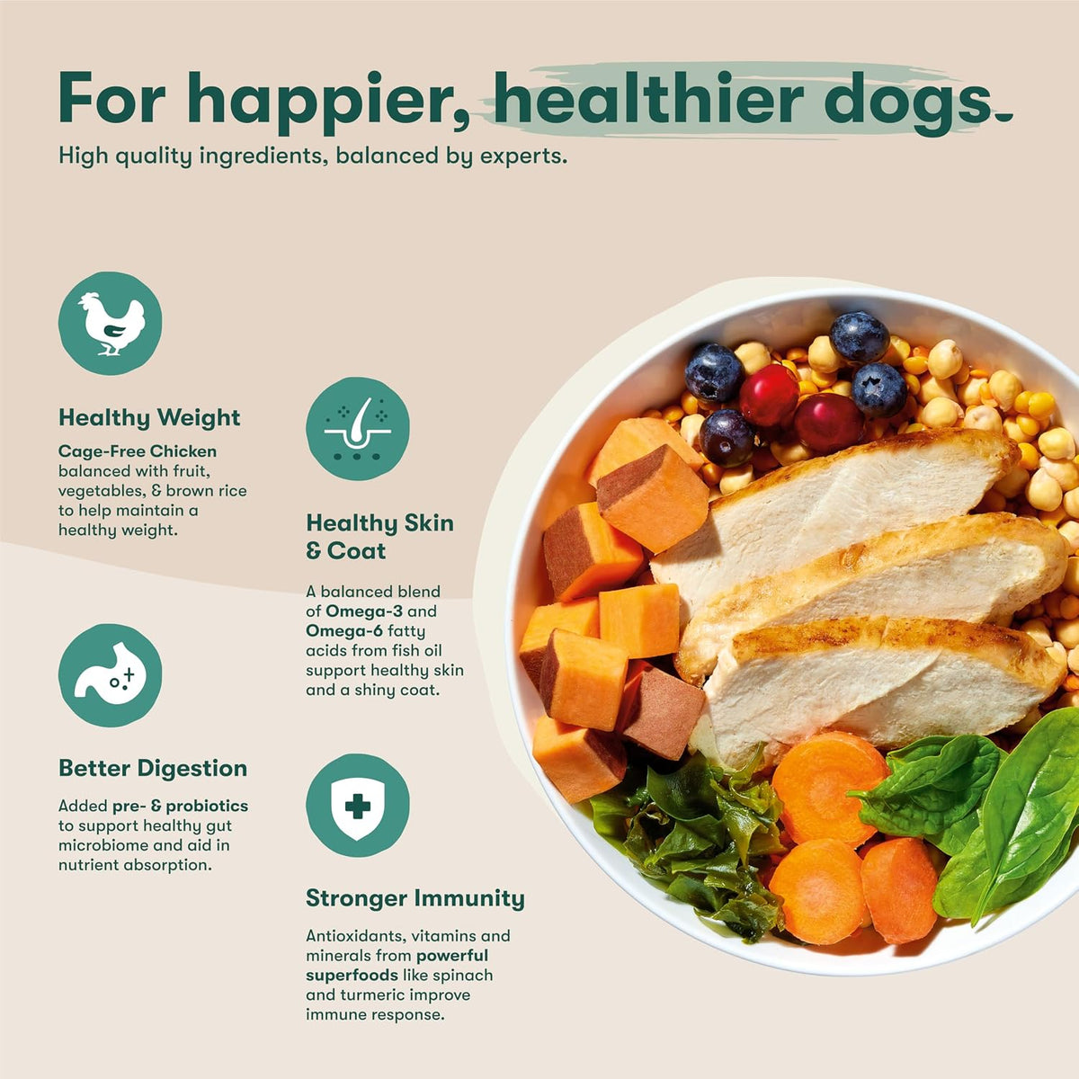 Grain Free Dry Dog Food - Real Lamb, Sweet Potato & Carrot, 4lb