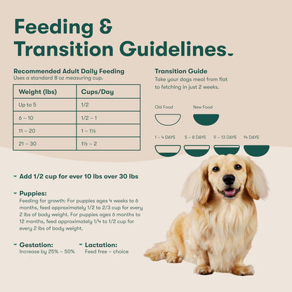 Grain Free Dry Dog Food - Real Lamb, Sweet Potato & Carrot, 4lb