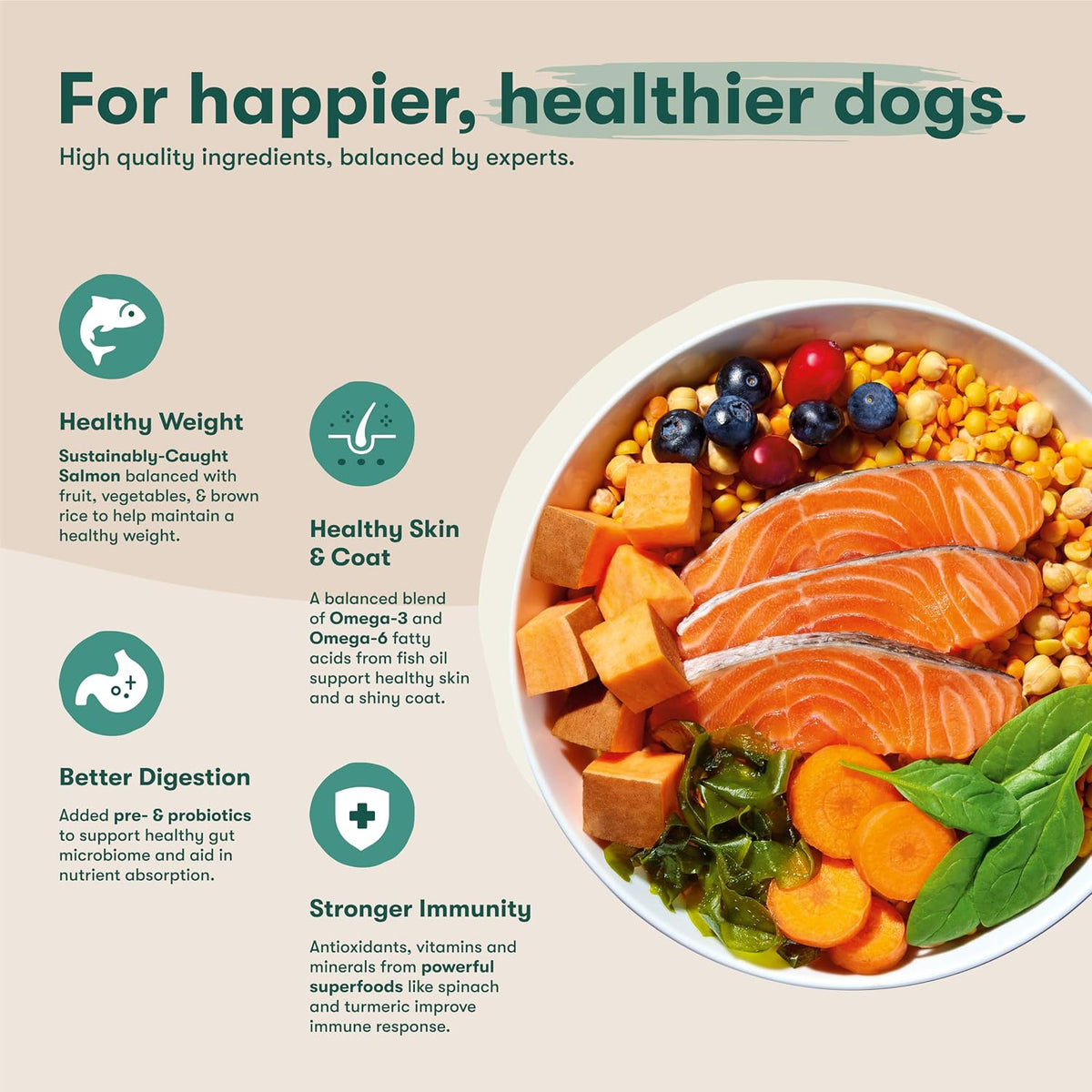 Grain Free Dry Dog Food - Real Lamb, Sweet Potato & Carrot, 4lb