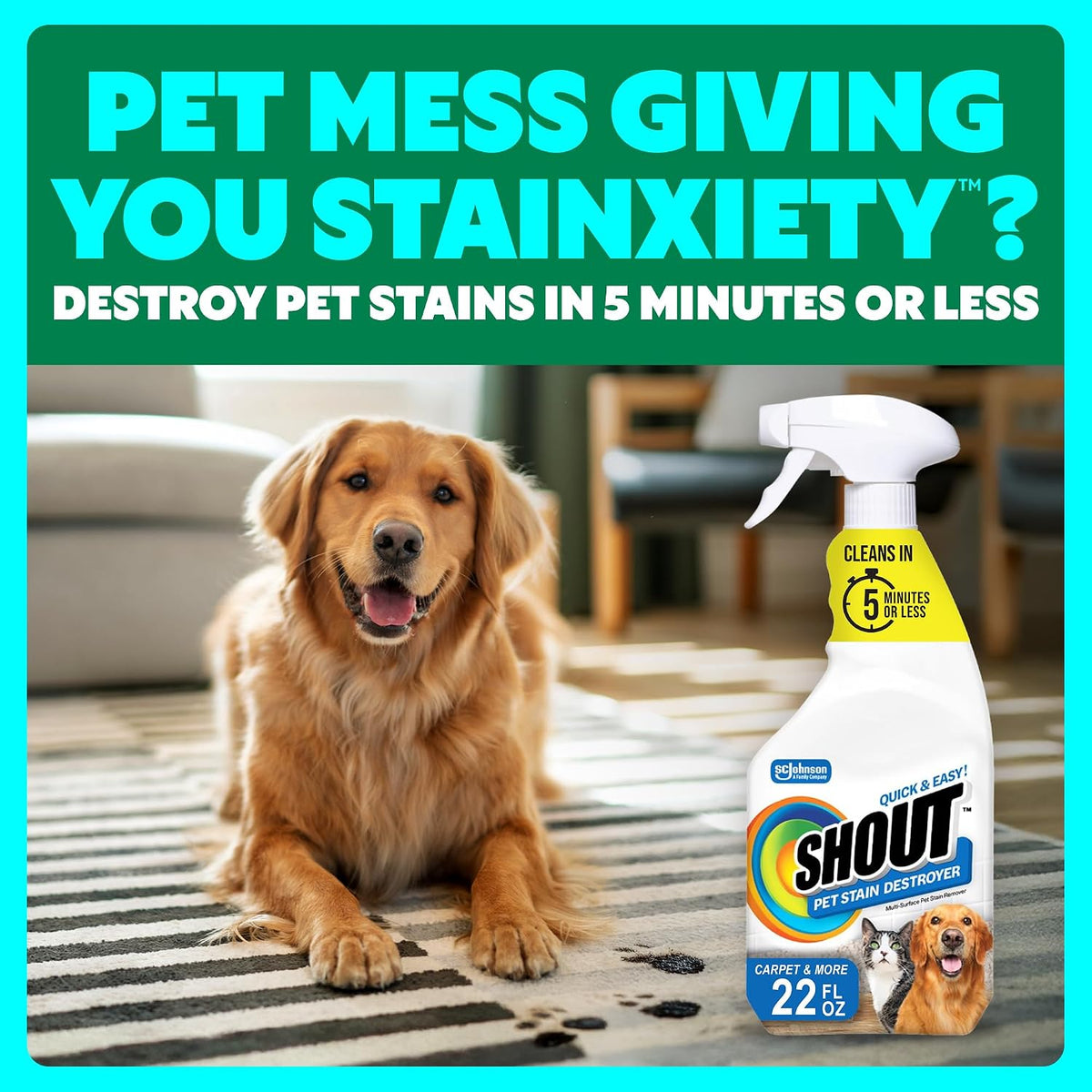Pet Stain Remover Spray, Color-Safe Multisurface & Carpet Cleaner Solution for Dog & Cat Urine, Feces, Vomit & Mud, Fights Odors & Remarking, Fast-Acting Cleans in 5 Minutes or Less, 22oz