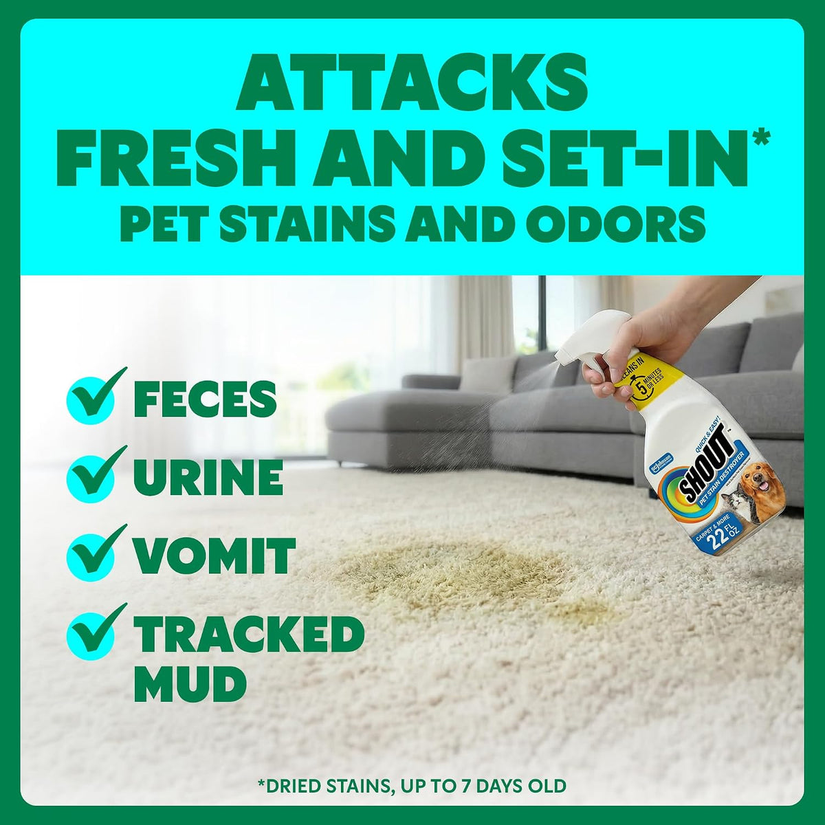 Pet Stain Remover Spray, Color-Safe Multisurface & Carpet Cleaner Solution for Dog & Cat Urine, Feces, Vomit & Mud, Fights Odors & Remarking, Fast-Acting Cleans in 5 Minutes or Less, 22oz