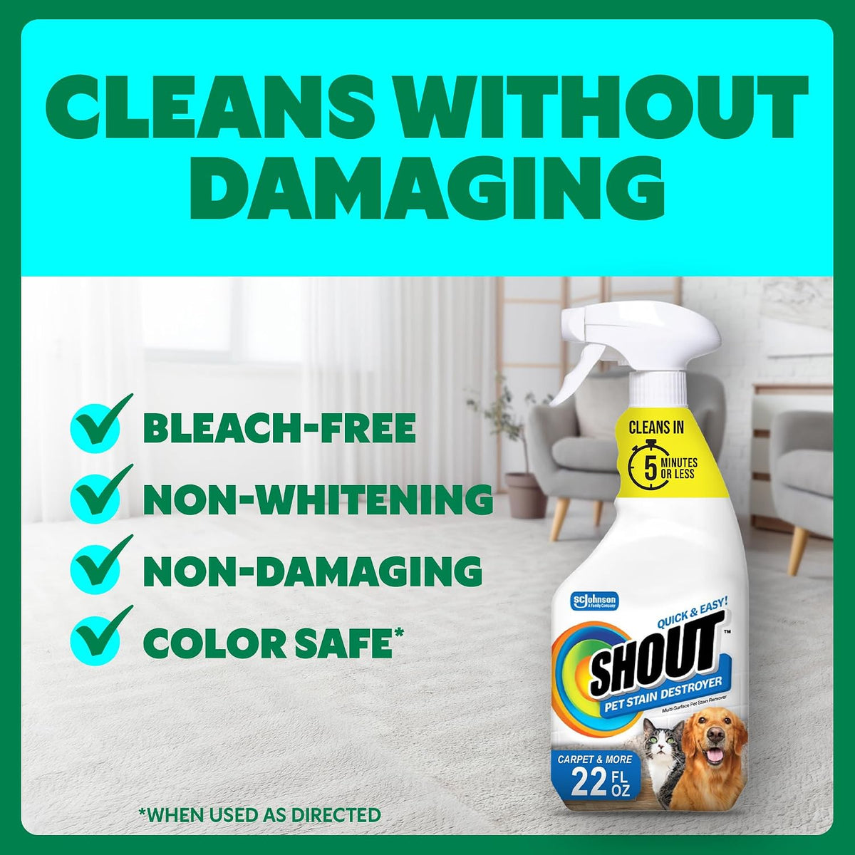 Pet Stain Remover Spray, Color-Safe Multisurface & Carpet Cleaner Solution for Dog & Cat Urine, Feces, Vomit & Mud, Fights Odors & Remarking, Fast-Acting Cleans in 5 Minutes or Less, 22oz