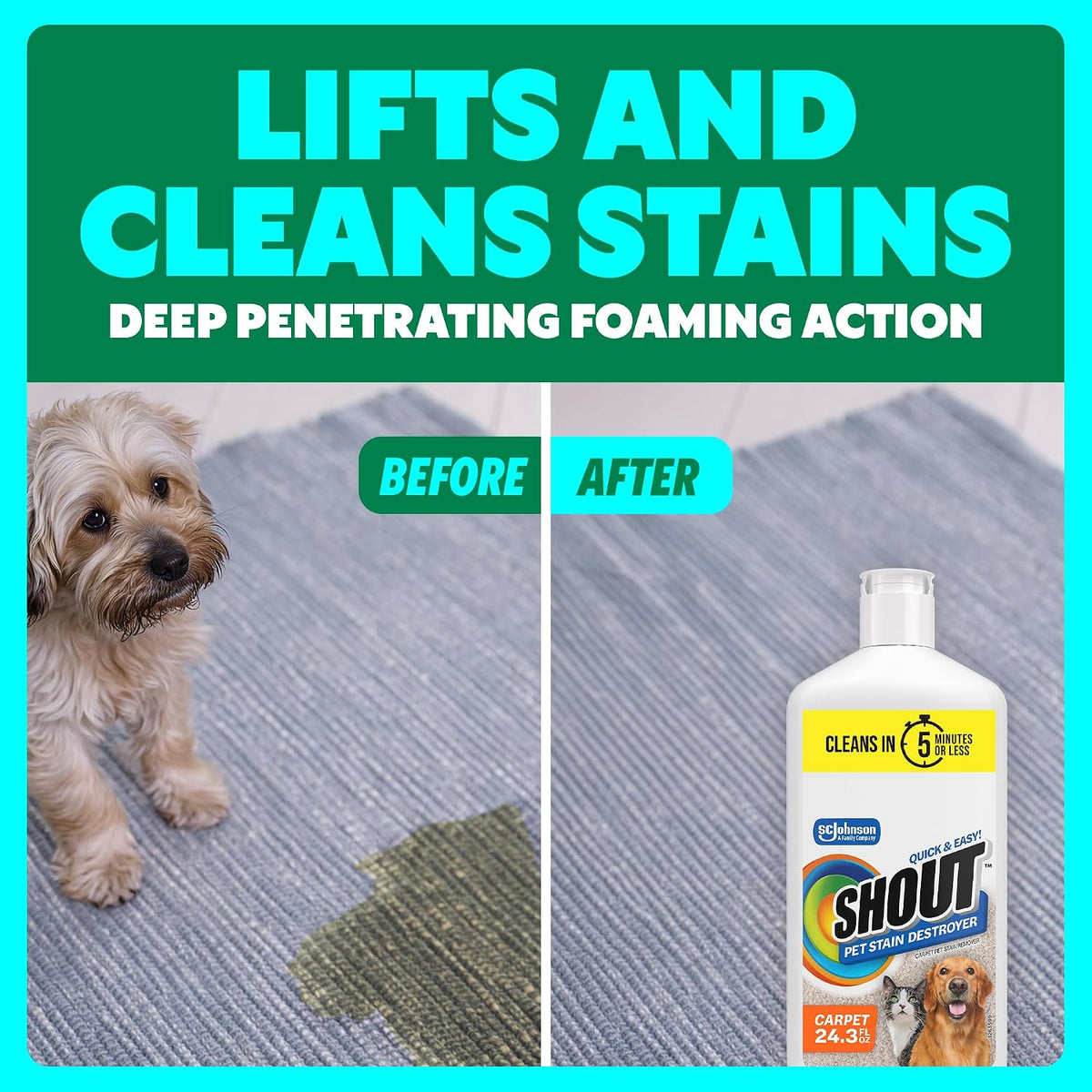 Pet Stain Remover Spray, Color-Safe Multisurface & Carpet Cleaner Solution for Dog & Cat Urine, Feces, Vomit & Mud, Fights Odors & Remarking, Fast-Acting Cleans in 5 Minutes or Less, 22oz