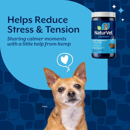 Quiet Moments Calming Plus Hemp Dog Supplement - 180 Soft Chews
