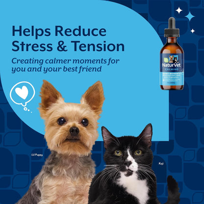 Quiet Moments Calming Plus Hemp Dog Supplement - 180 Soft Chews