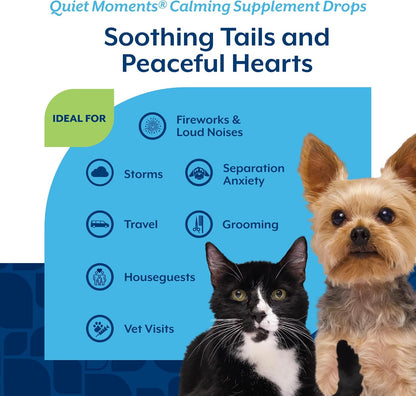Quiet Moments Calming Plus Hemp Dog Supplement - 180 Soft Chews