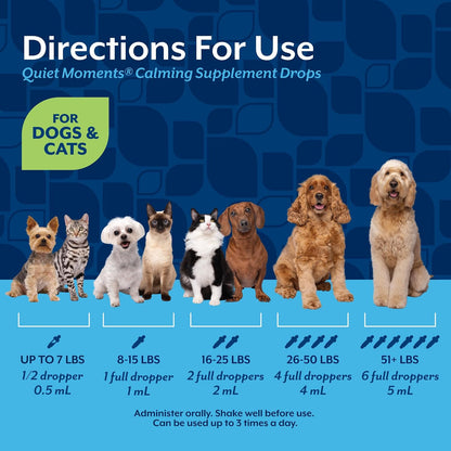 Quiet Moments Calming Plus Hemp Dog Supplement - 180 Soft Chews