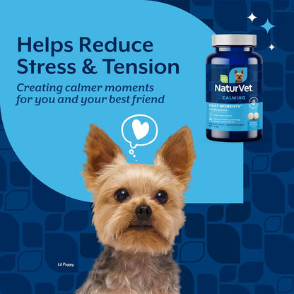 Quiet Moments Calming Plus Hemp Dog Supplement - 180 Soft Chews