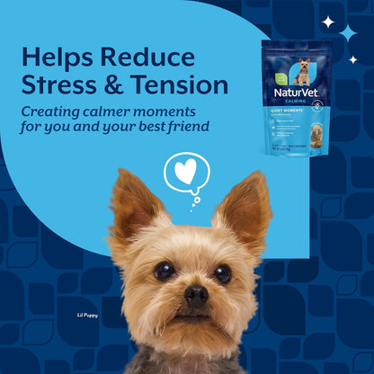 Quiet Moments Calming Plus Hemp Dog Supplement - 180 Soft Chews