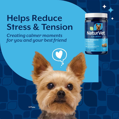 Quiet Moments Calming Plus Hemp Dog Supplement - 180 Soft Chews