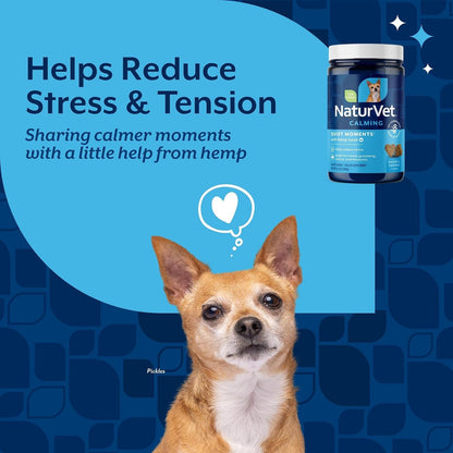 Quiet Moments Calming Plus Hemp Dog Supplement - 180 Soft Chews