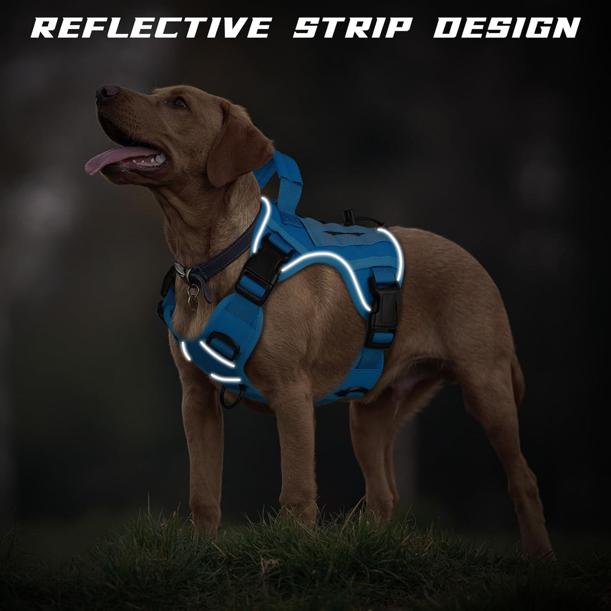 Tactical Dog Harness for Large Dogs,No Pull Heavy Duty Dog Harness