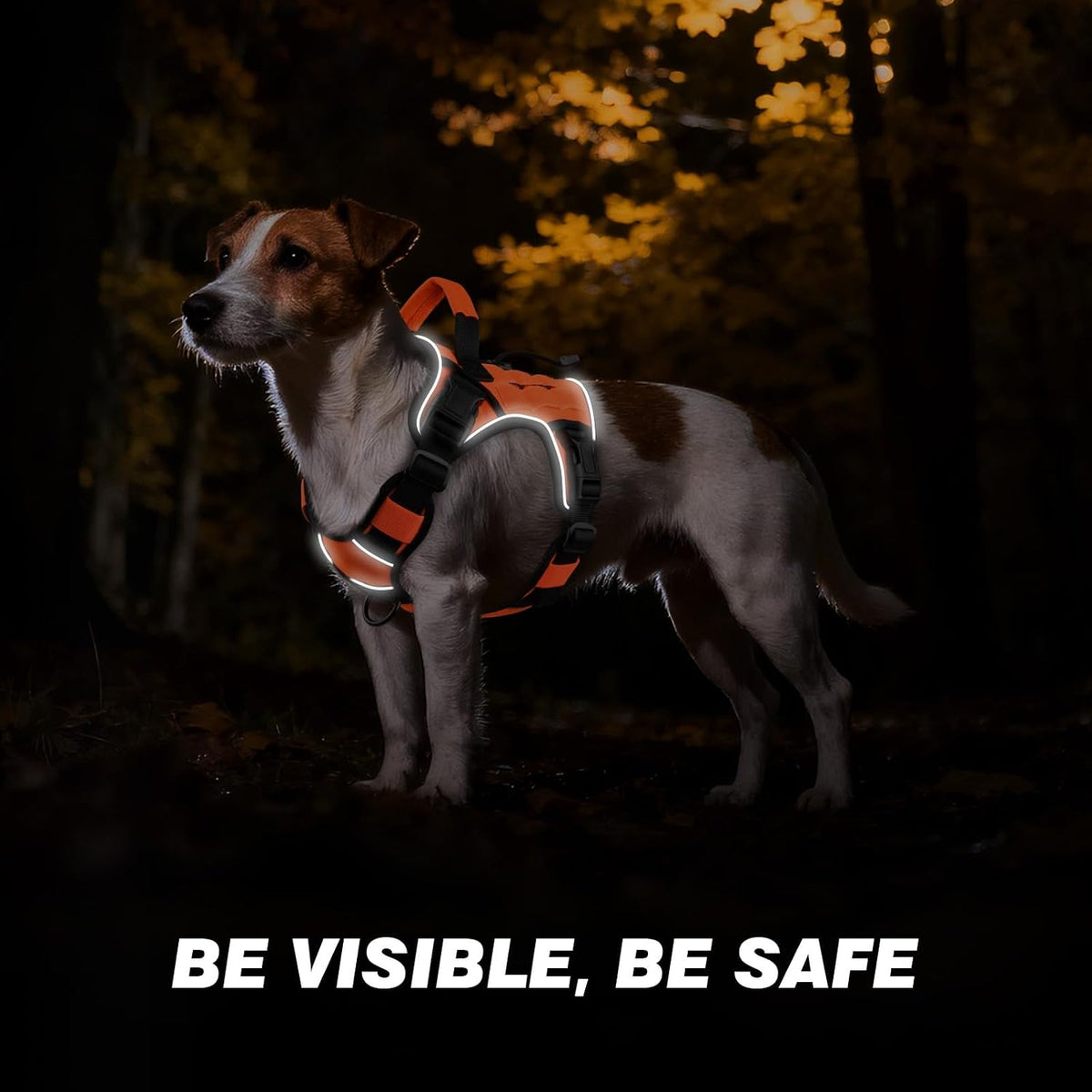 Tactical Dog Harness for Large Dogs,No Pull Heavy Duty Dog Harness