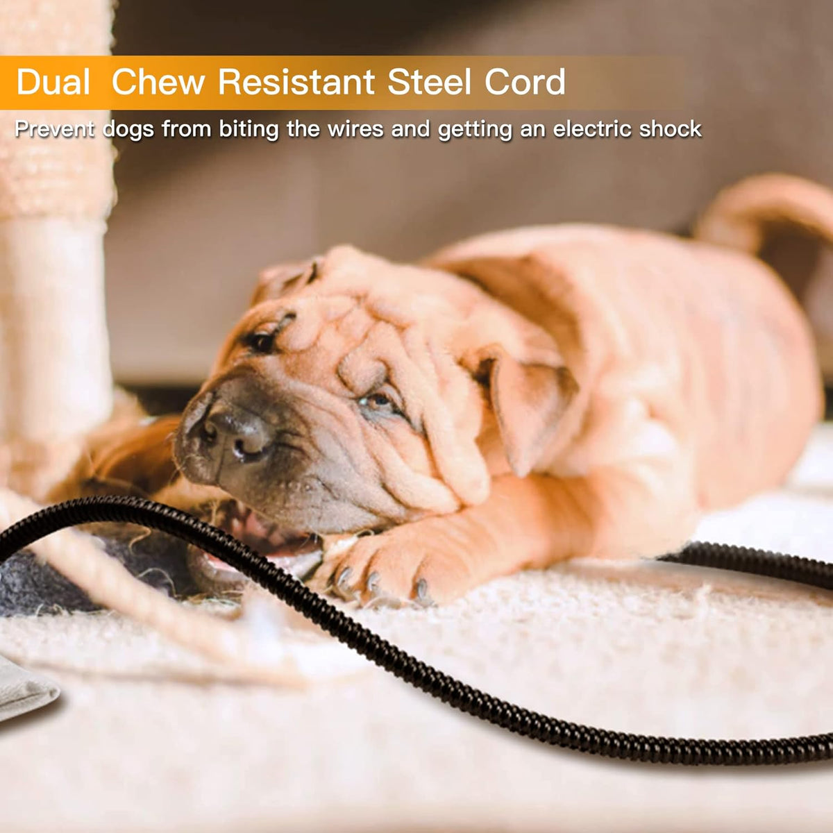 Heated Pet Mat, Large Dog & Cat Heating Pad, 35 x 24 in, Waterproof