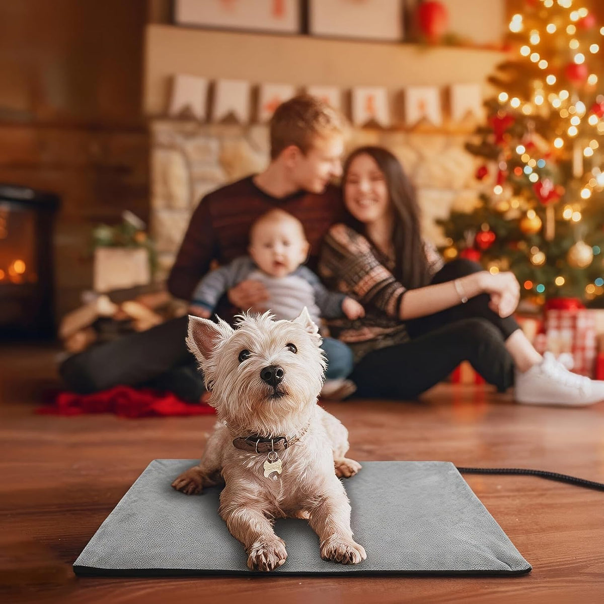 Heated Pet Mat, Large Dog & Cat Heating Pad, 35 x 24 in, Waterproof