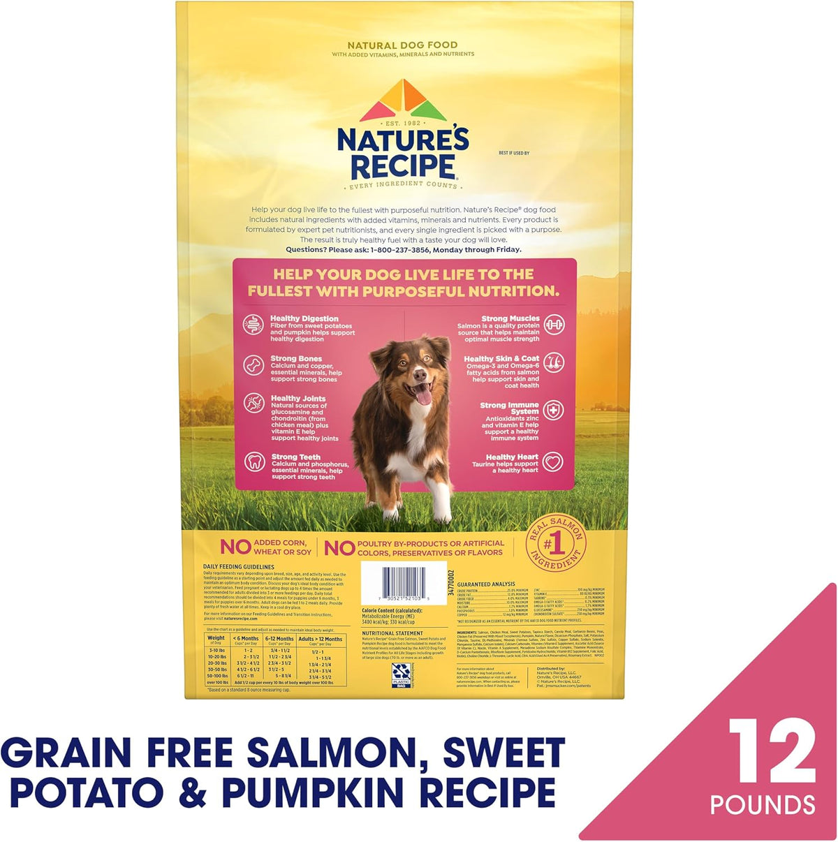 Grain Free Dry Dog Food, Salmon, Sweet Potato & Pumpkin Recipe, 12 lb. Bag