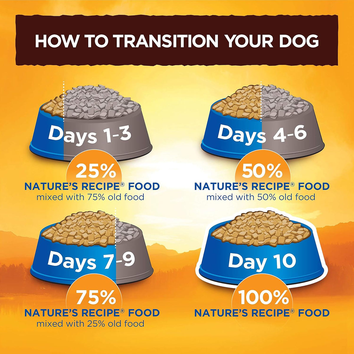 Grain Free Dry Dog Food, Salmon, Sweet Potato & Pumpkin Recipe, 12 lb. Bag