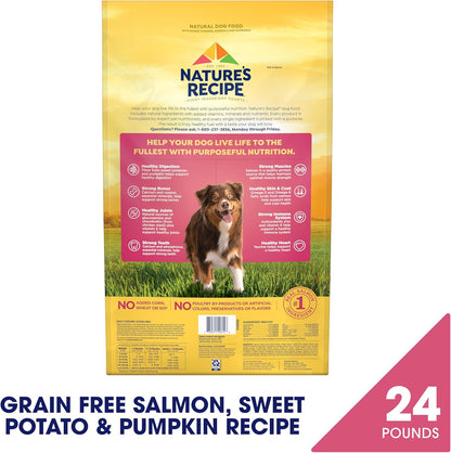 Grain Free Dry Dog Food, Salmon, Sweet Potato & Pumpkin Recipe, 12 lb. Bag