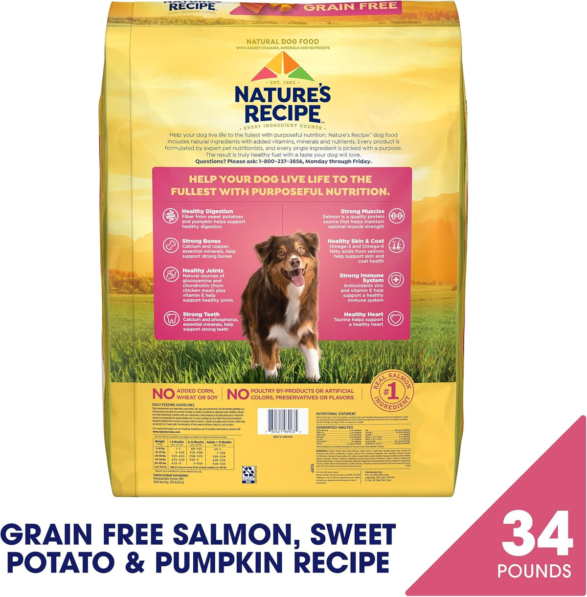 Grain Free Dry Dog Food, Salmon, Sweet Potato & Pumpkin Recipe, 12 lb. Bag