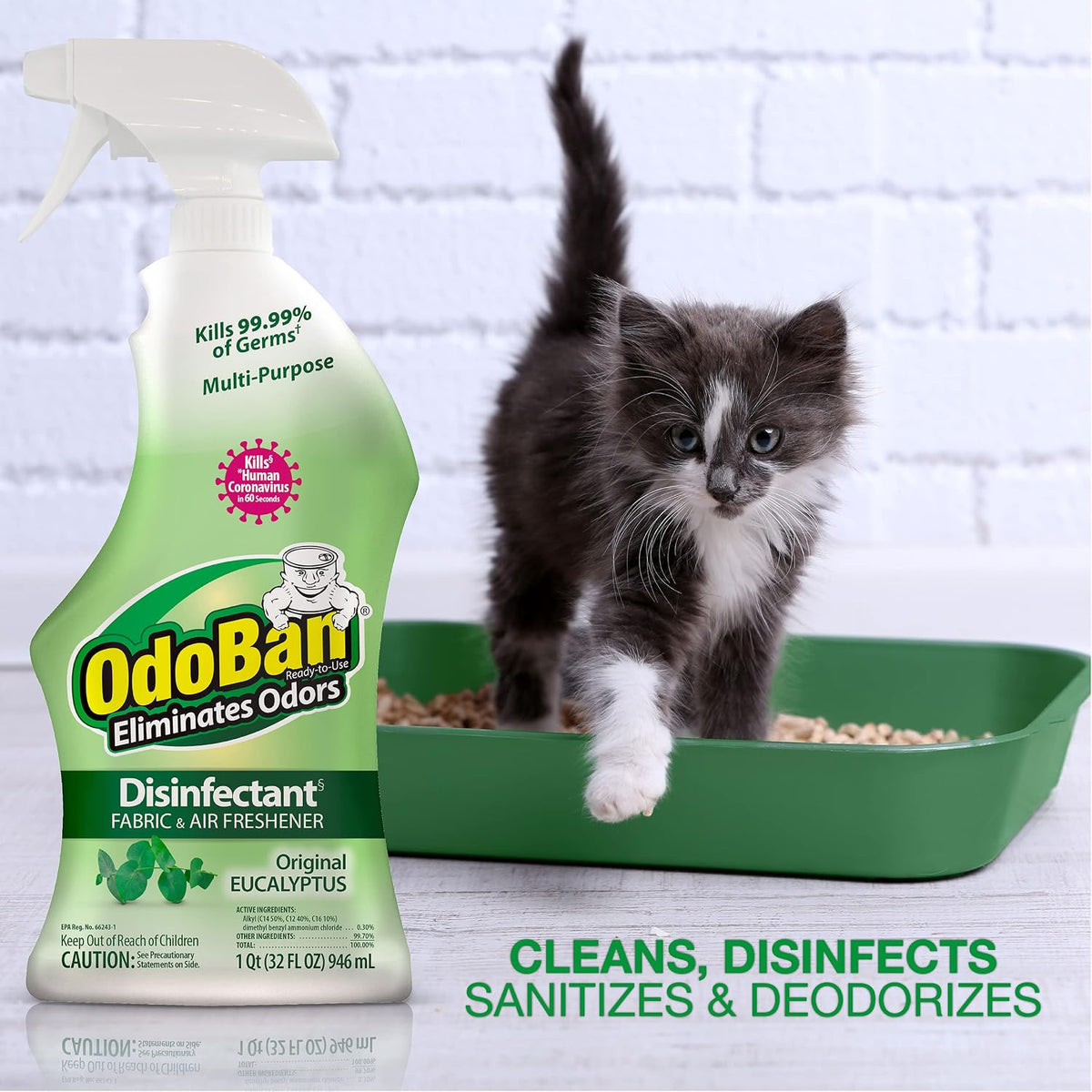 Ready-to-Use Disinfectant and Odor Eliminator, 32 Ounce Spray Bottle, Original Eucalyptus Scent