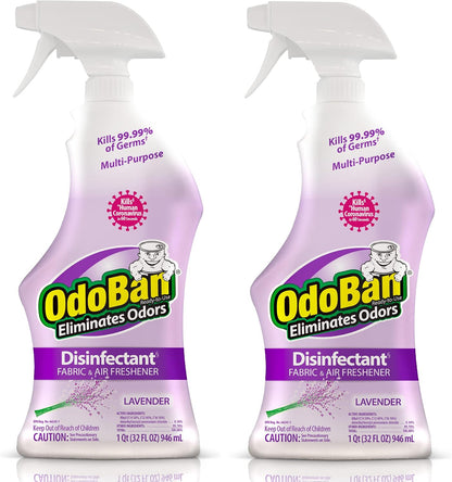 Ready-to-Use Disinfectant and Odor Eliminator, 32 Ounce Spray Bottle, Original Eucalyptus Scent