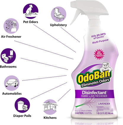 Ready-to-Use Disinfectant and Odor Eliminator, 32 Ounce Spray Bottle, Original Eucalyptus Scent