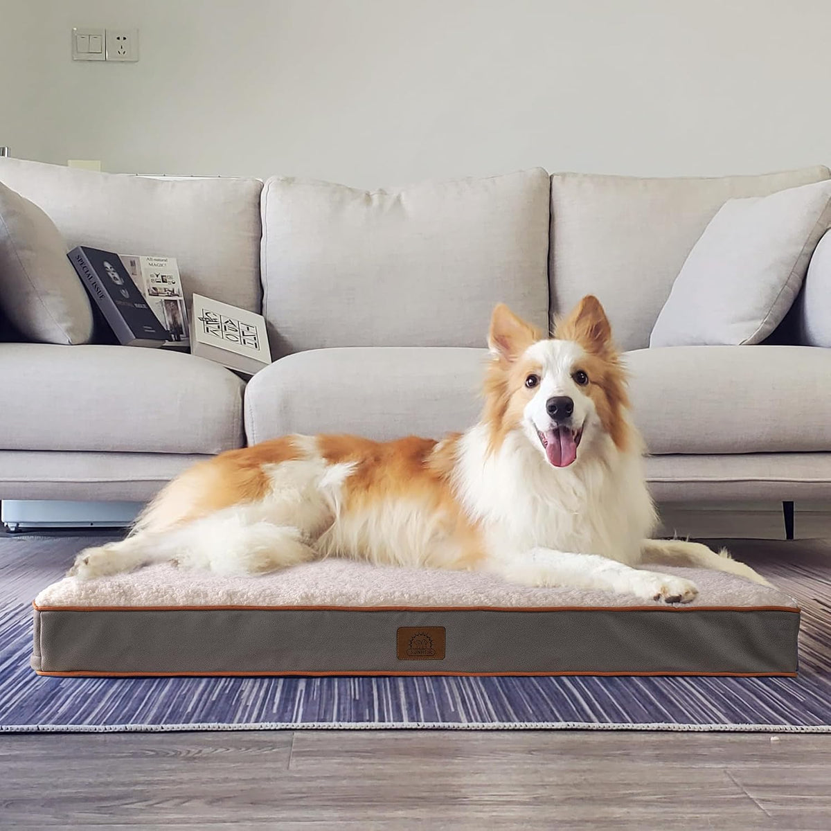 Washable Orthopedic Large Dog Bed with Removable Cover, Pet Bed Mat | Big Waterproof Dog Crate Bed, Egg Crate Foam Support, Anti-Slip Bottom, Easy-Clean, Soft Plush Dog Beds Large Sized Dog, Grey