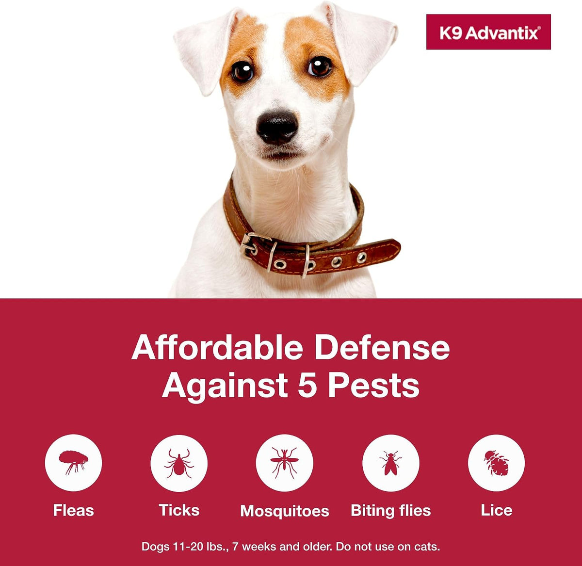 Flea, Tick & Mosquito Prevention for Dogs 11-20 lbs. | Flea Drops for Medium Dogs | Apply Monthly | 2 Treatments
