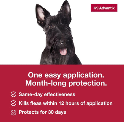 Flea, Tick & Mosquito Prevention for Dogs 11-20 lbs. | Flea Drops for Medium Dogs | Apply Monthly | 2 Treatments
