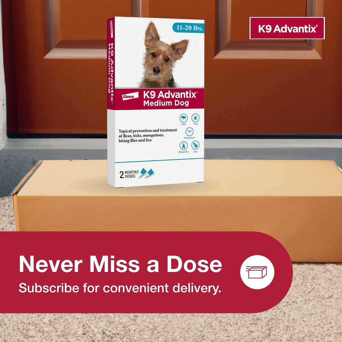Flea, Tick & Mosquito Prevention for Dogs 11-20 lbs. | Flea Drops for Medium Dogs | Apply Monthly | 2 Treatments