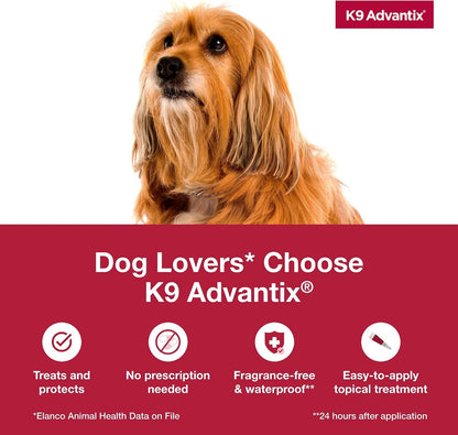 Flea, Tick & Mosquito Prevention for Dogs 11-20 lbs. | Flea Drops for Medium Dogs | Apply Monthly | 2 Treatments