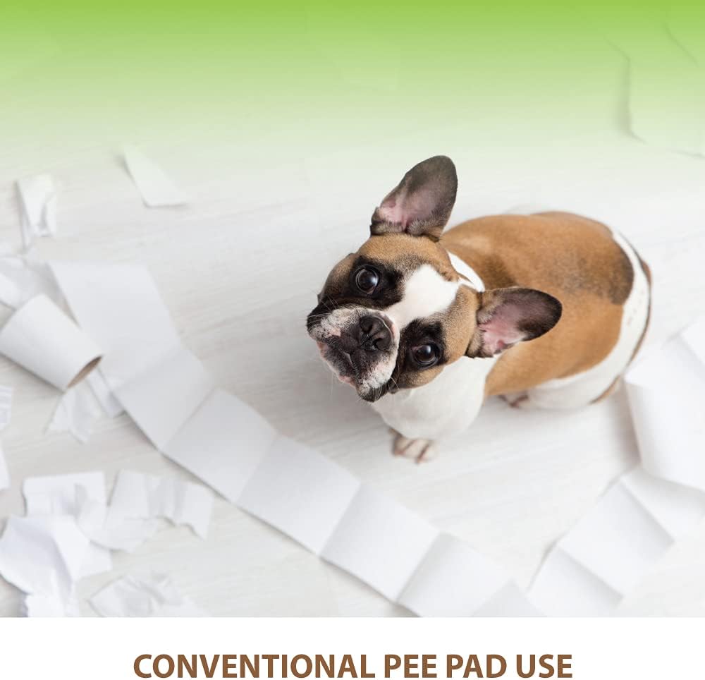Puppy Pee Pad Holder Indoor Outdoor Dog Potty Toilet Training Tray 20" x 16" for Small and Medium Dogs (Ivory)