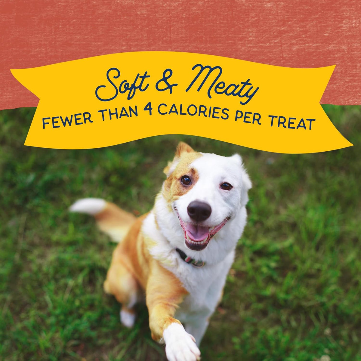 Rewards Minis, Training Treats for Dogs, Salmon, 5.3 oz