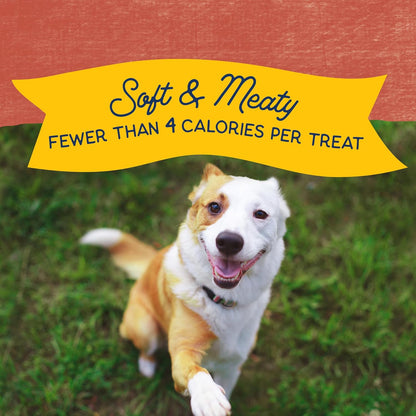 Rewards Minis, Training Treats for Dogs, Salmon, 5.3 oz