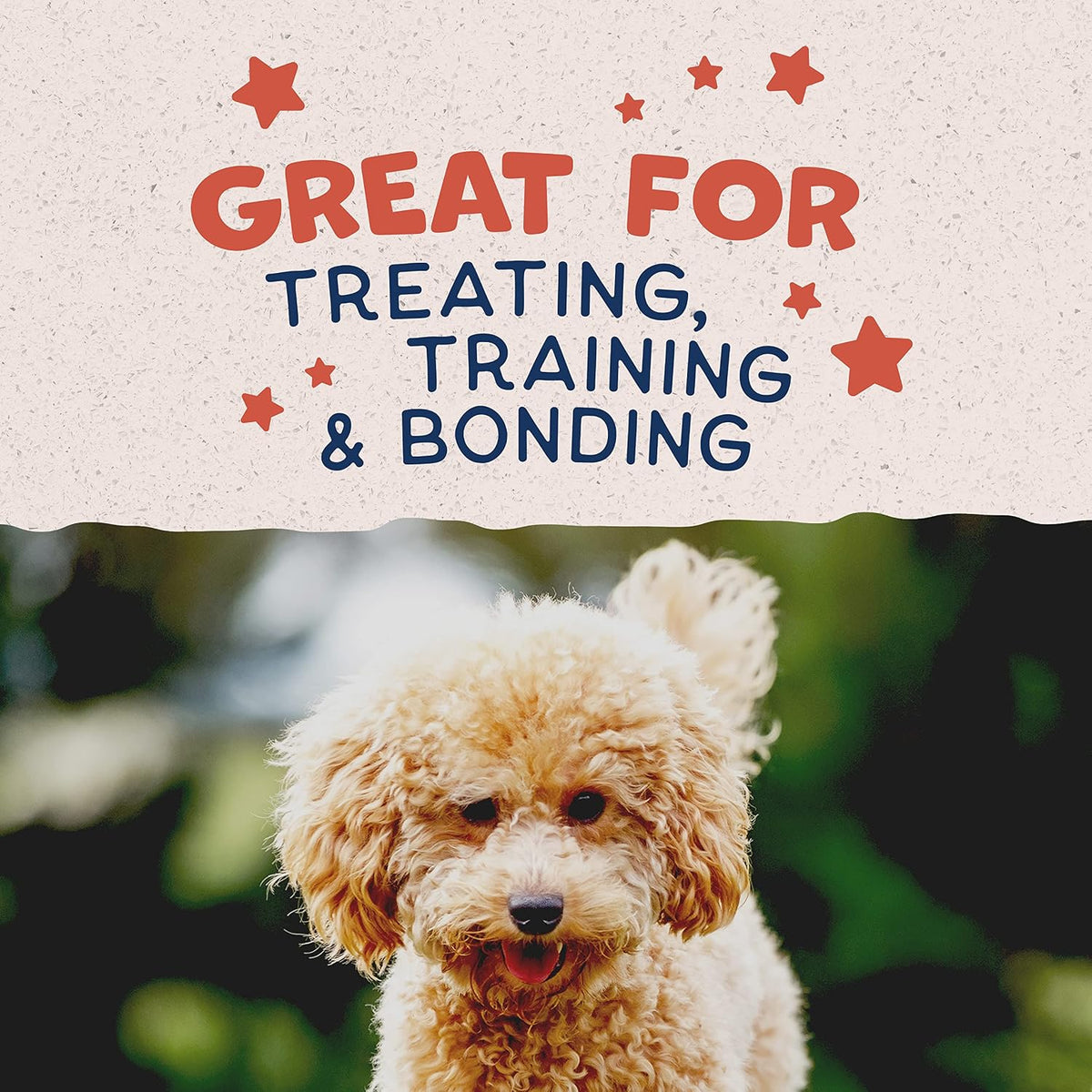 Rewards Minis, Training Treats for Dogs, Salmon, 5.3 oz