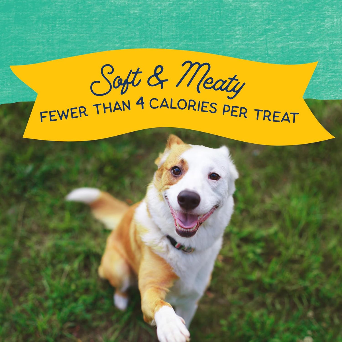 Rewards Minis, Training Treats for Dogs, Salmon, 5.3 oz
