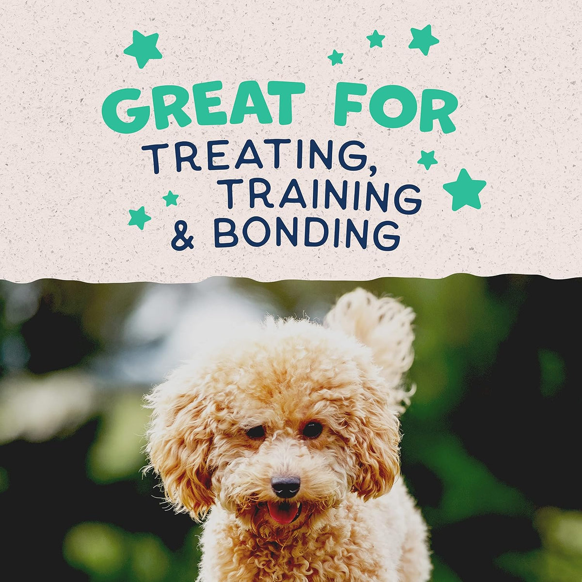 Rewards Minis, Training Treats for Dogs, Salmon, 5.3 oz
