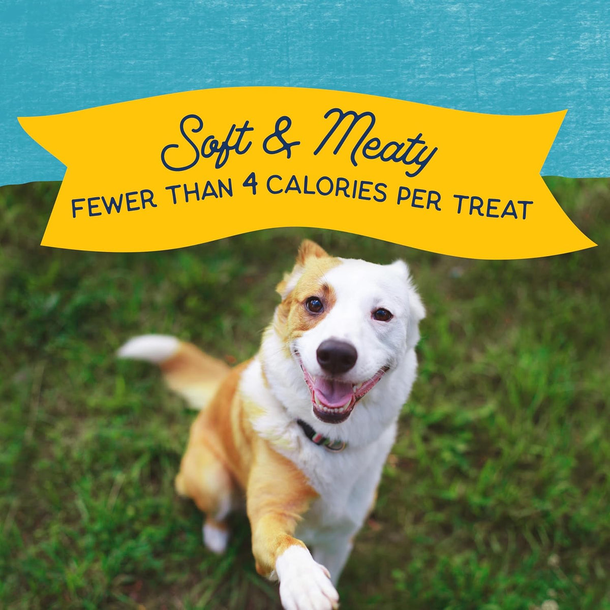Rewards Minis, Training Treats for Dogs, Salmon, 5.3 oz