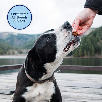Rewards Minis, Training Treats for Dogs, Salmon, 5.3 oz