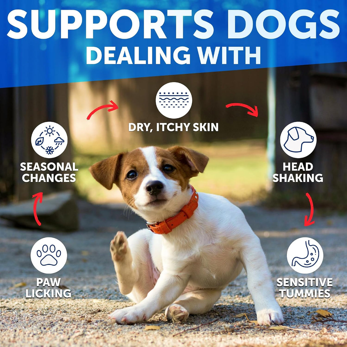Dog Allergy Chews - 70 Treats - Itch Relief for Dogs - For Skin & Coat
