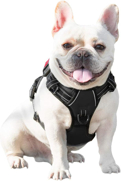 No Pull Dog Harness Medium Reflective Front Clip Vest with Handle | Adjustable 2 Metal Rings 3 Buckles,[Easy to Put on & Take Off](M, Orange)