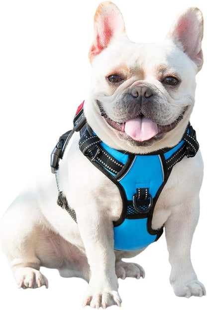 No Pull Dog Harness Medium Reflective Front Clip Vest with Handle | Adjustable 2 Metal Rings 3 Buckles,[Easy to Put on & Take Off](M, Orange)