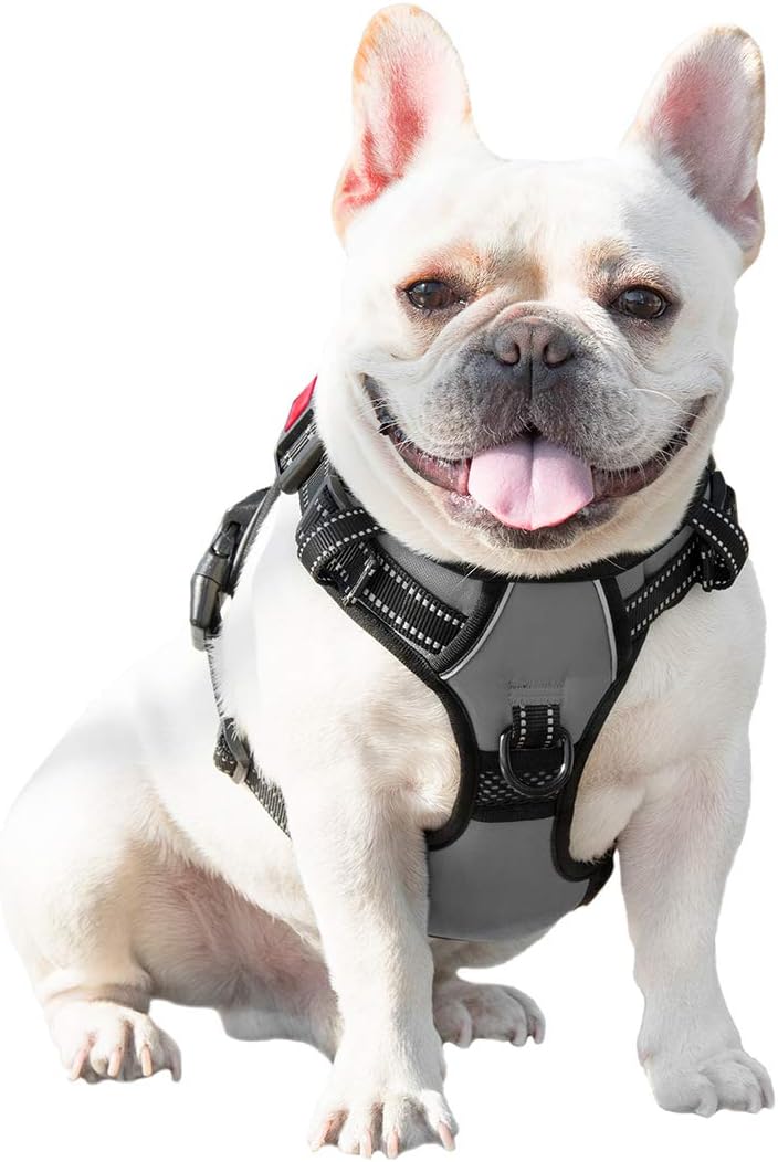 No Pull Dog Harness Medium Reflective Front Clip Vest with Handle | Adjustable 2 Metal Rings 3 Buckles,[Easy to Put on & Take Off](M, Orange)